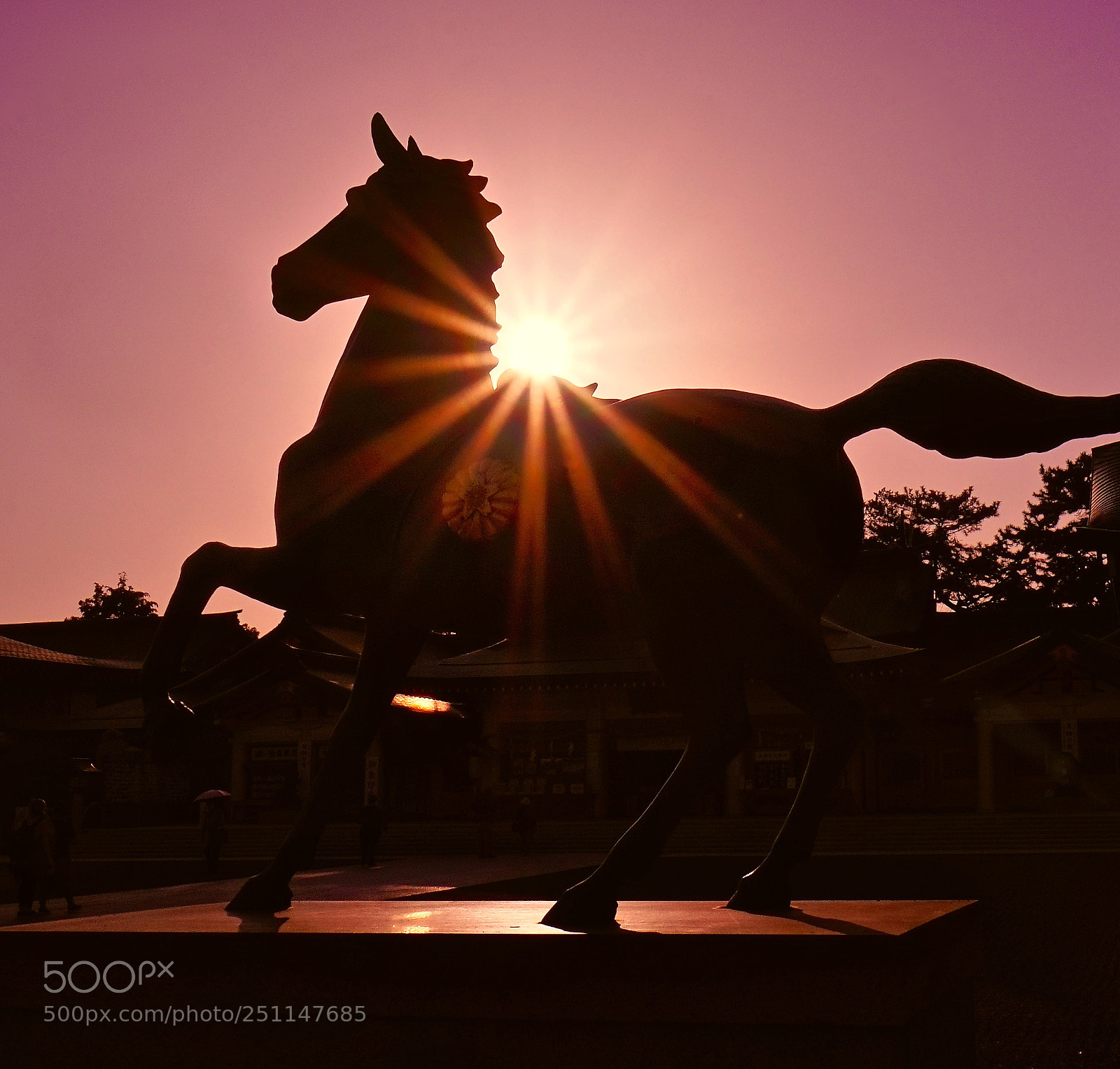 Sony a7R sample photo. Stallion photography