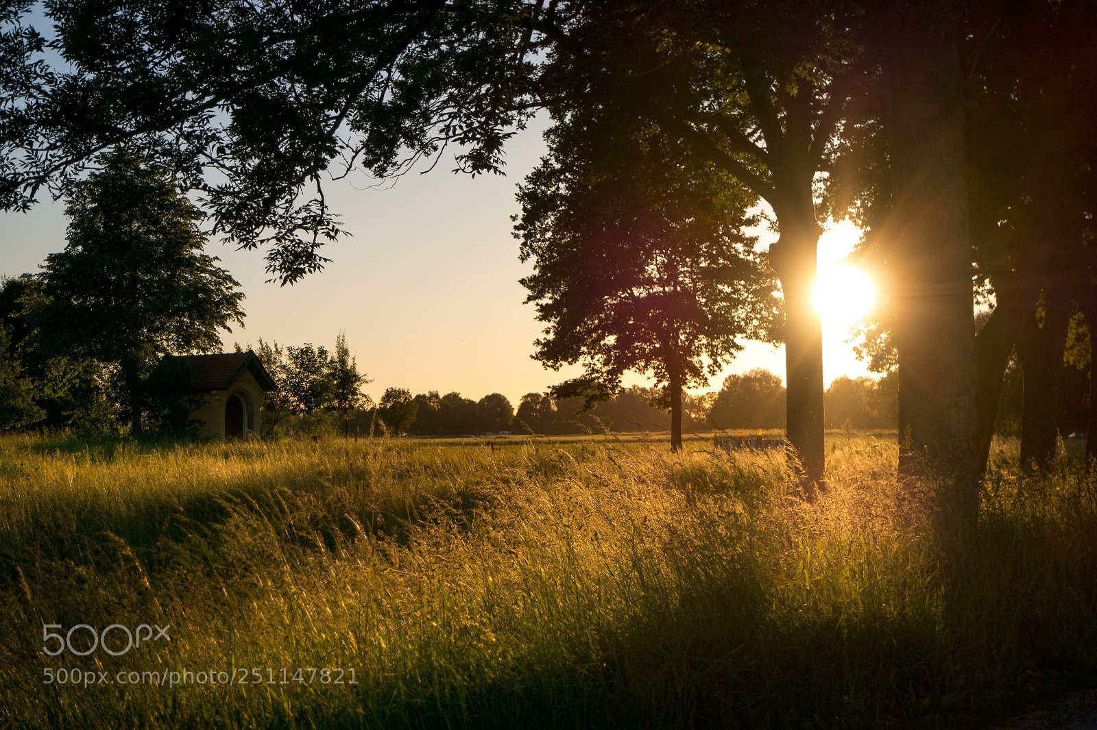 Samsung NX300 sample photo. Lachsgang sunset stroll photography