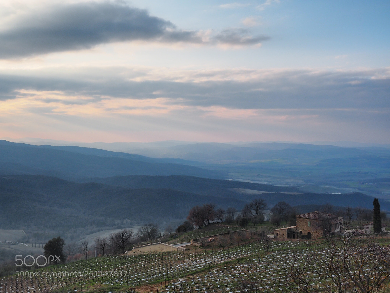 Olympus OM-D E-M1 sample photo. Wine yard and view photography
