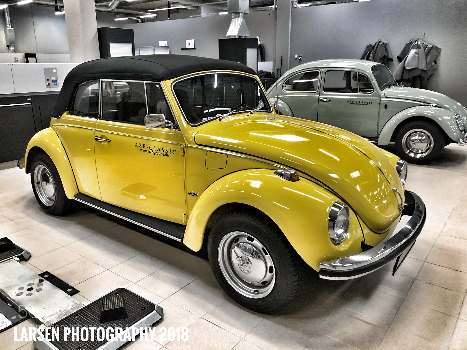 Apple iPhone 8 Plus sample photo. Yellow bug photography