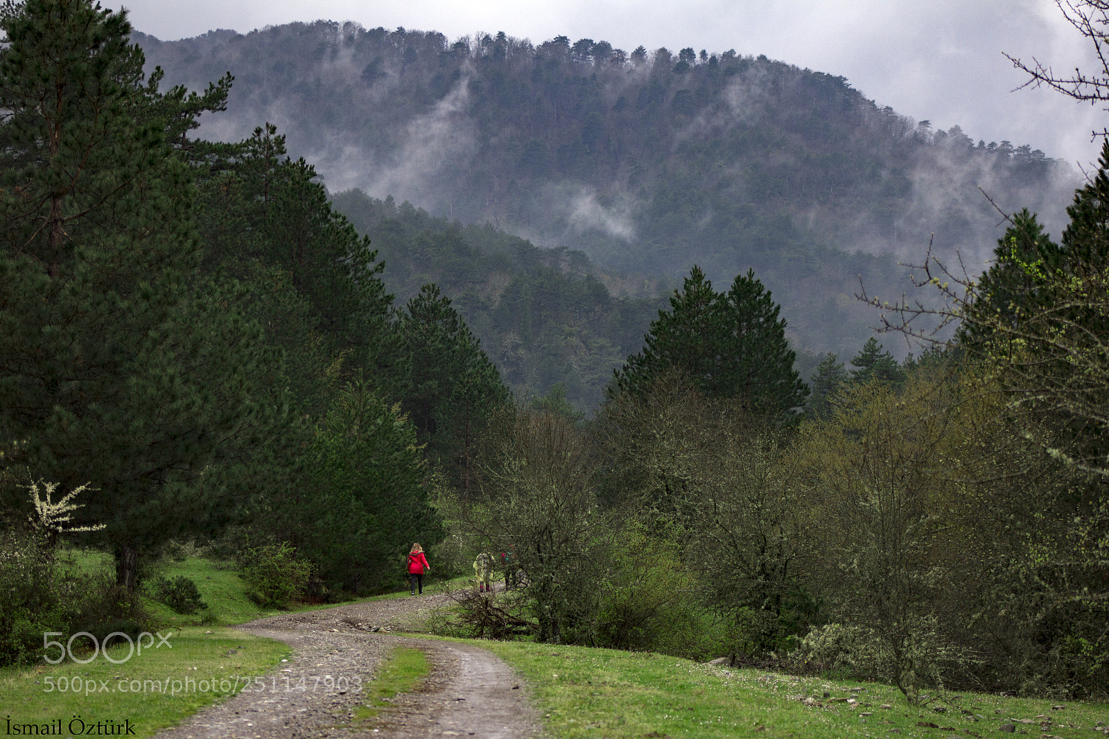 Canon EOS 60D sample photo. Ida mountain photography