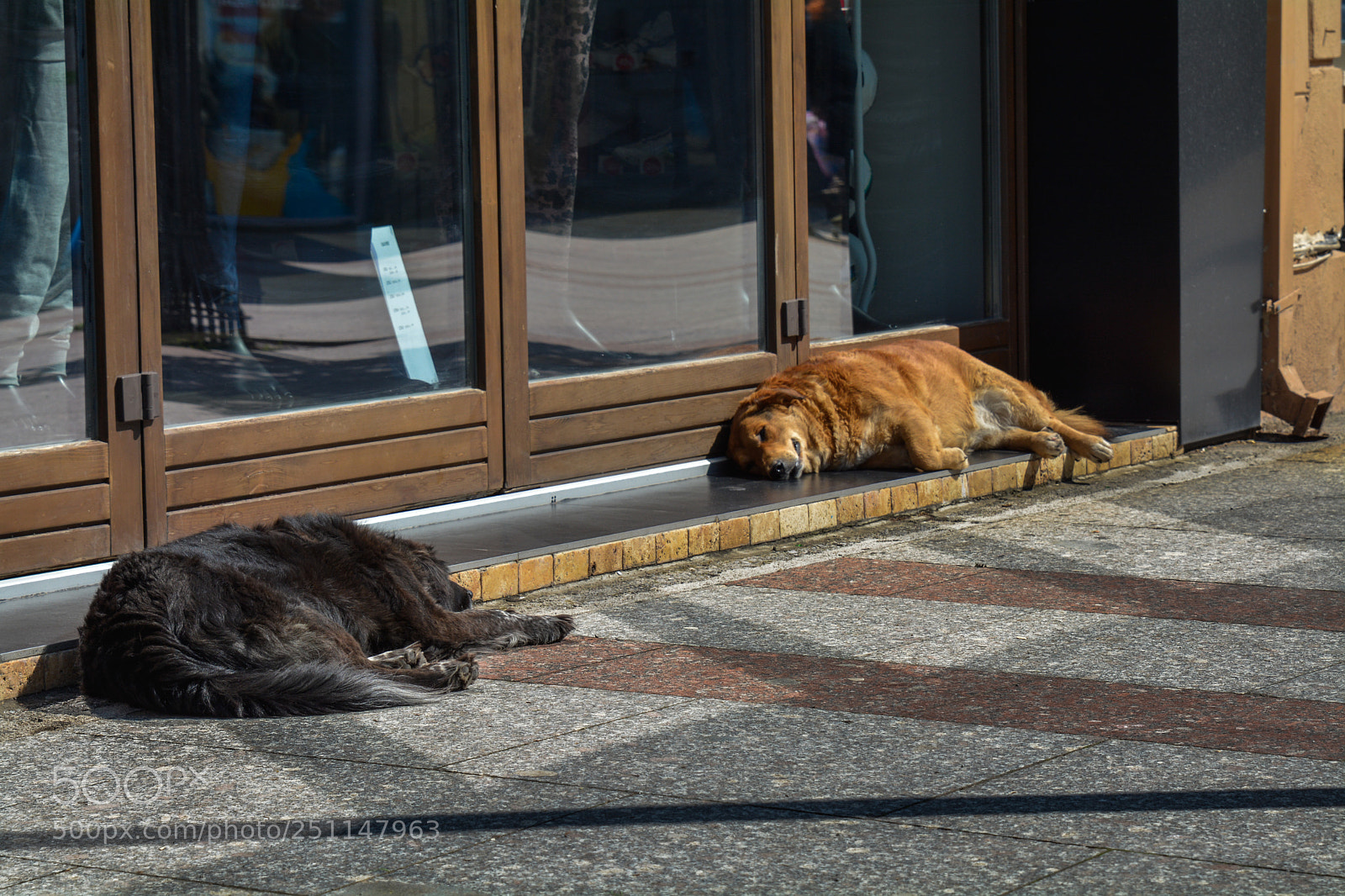 Nikon D7100 sample photo. Take a nap photography