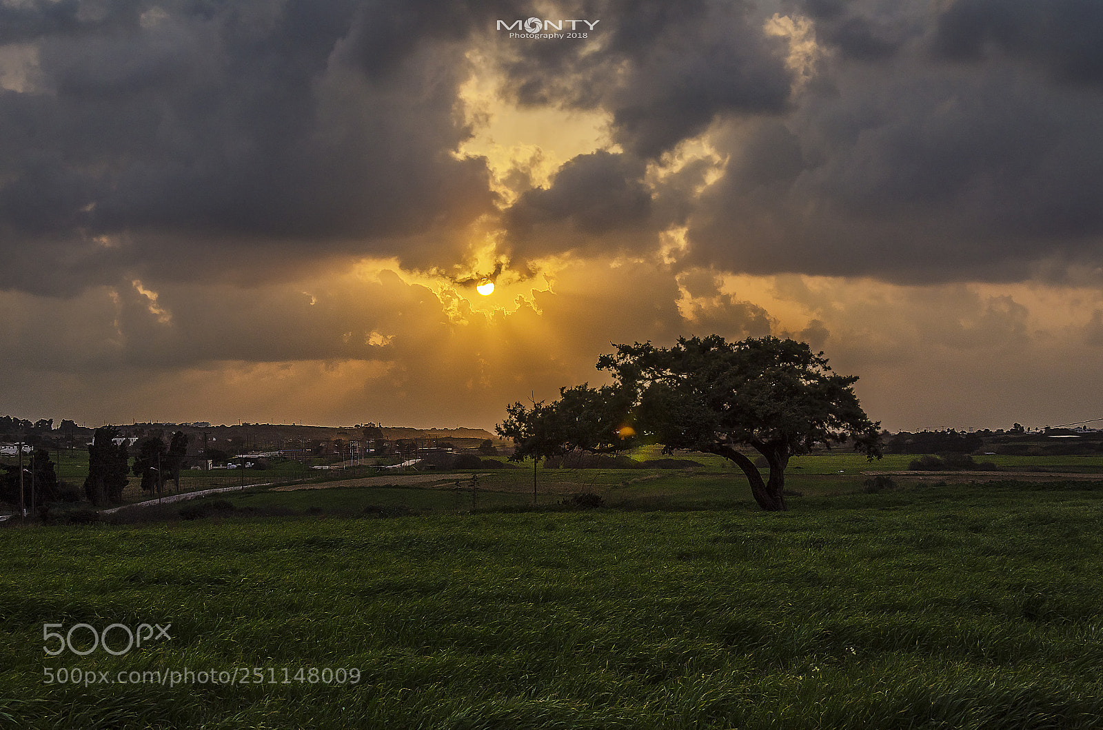 Nikon D5100 sample photo. Winter sunset photography