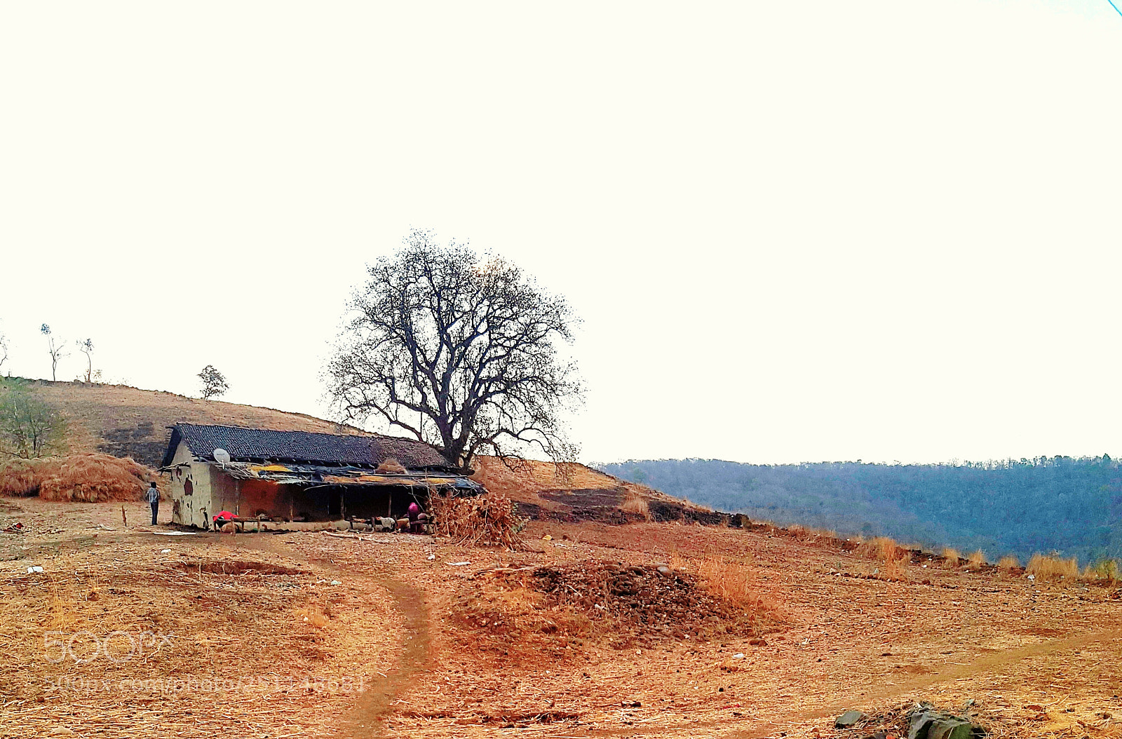 Samsung Galaxy S7 sample photo. Untitled photography