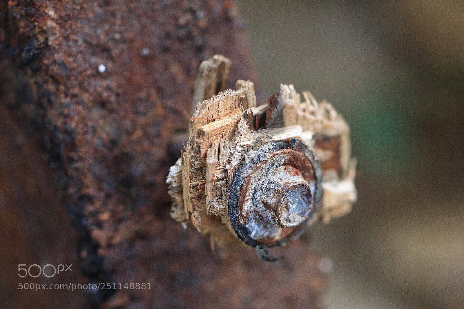 Canon EOS 80D sample photo. Rustic photography