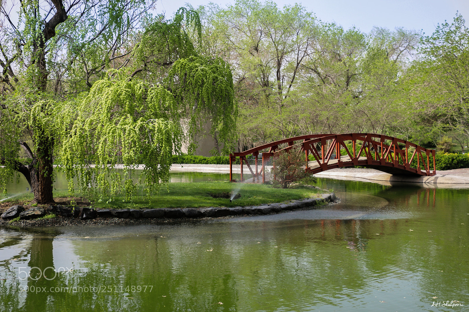 Canon EOS 70D sample photo. Spring photography