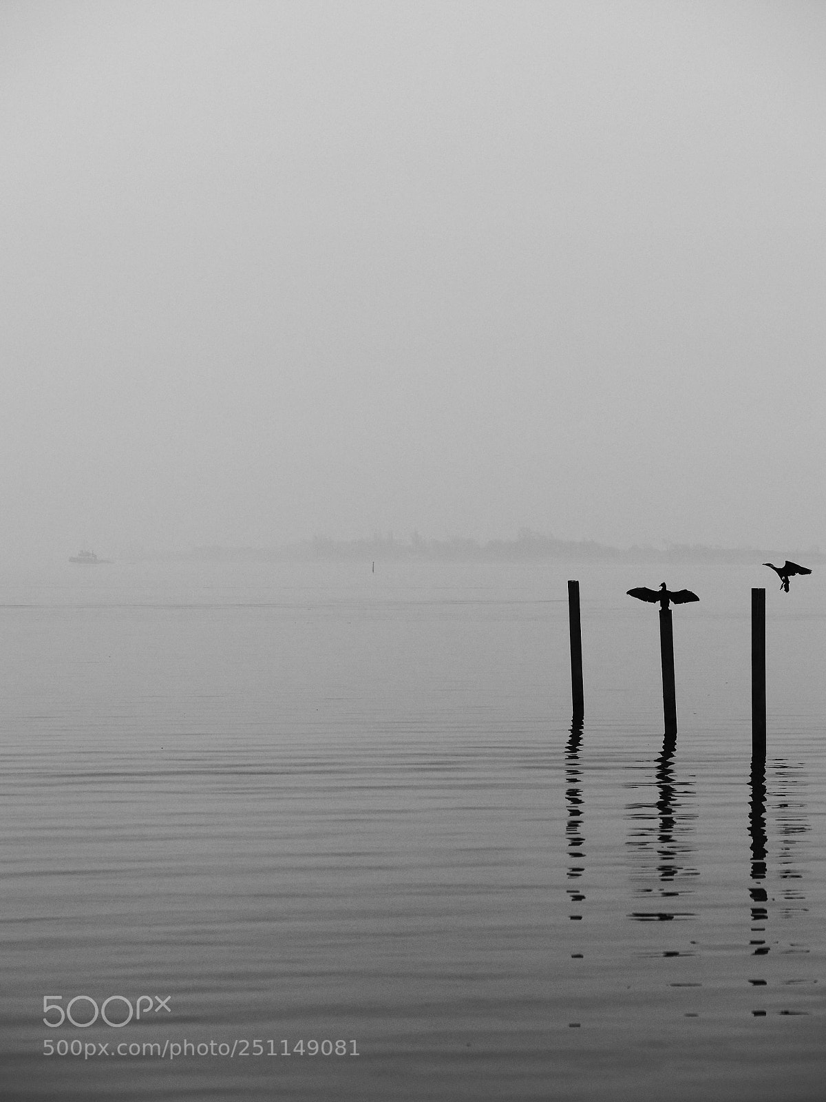 Olympus OM-D E-M5 II sample photo. Permission to takedown. photography