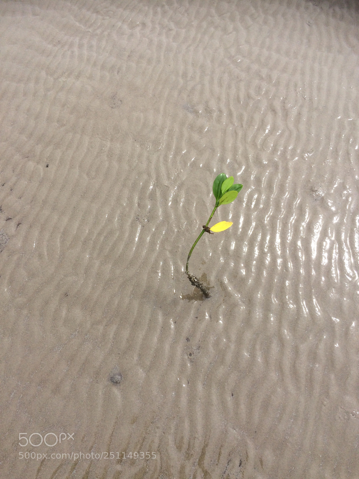 Apple iPhone 5s sample photo. Untitled photography