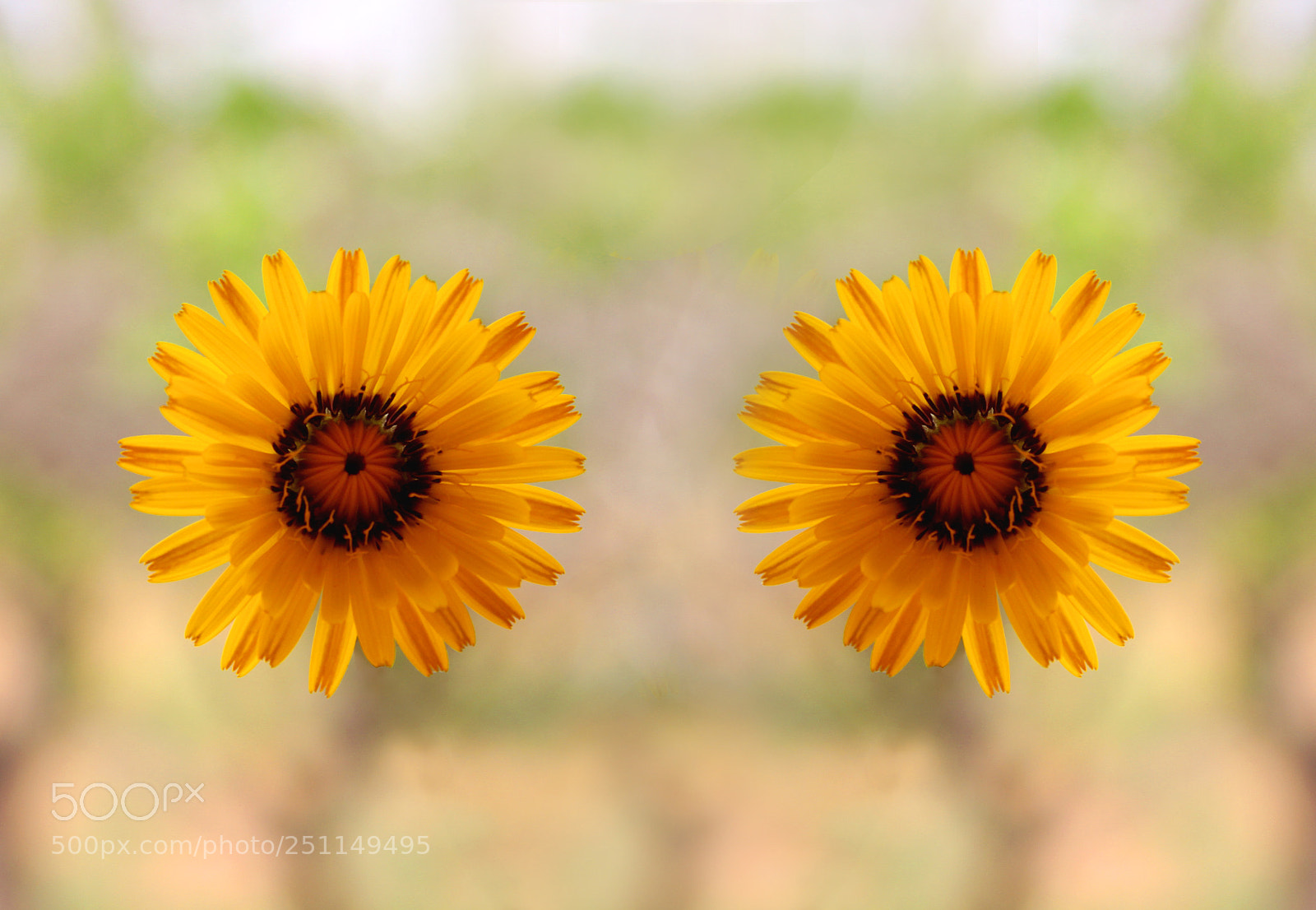 Canon EOS 700D (EOS Rebel T5i / EOS Kiss X7i) sample photo. Img photography