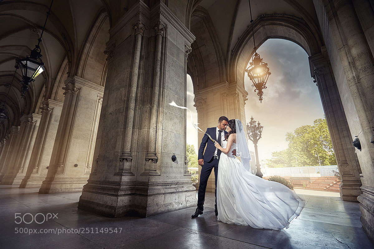 Canon EOS-1D X sample photo. Vienna 02 photography