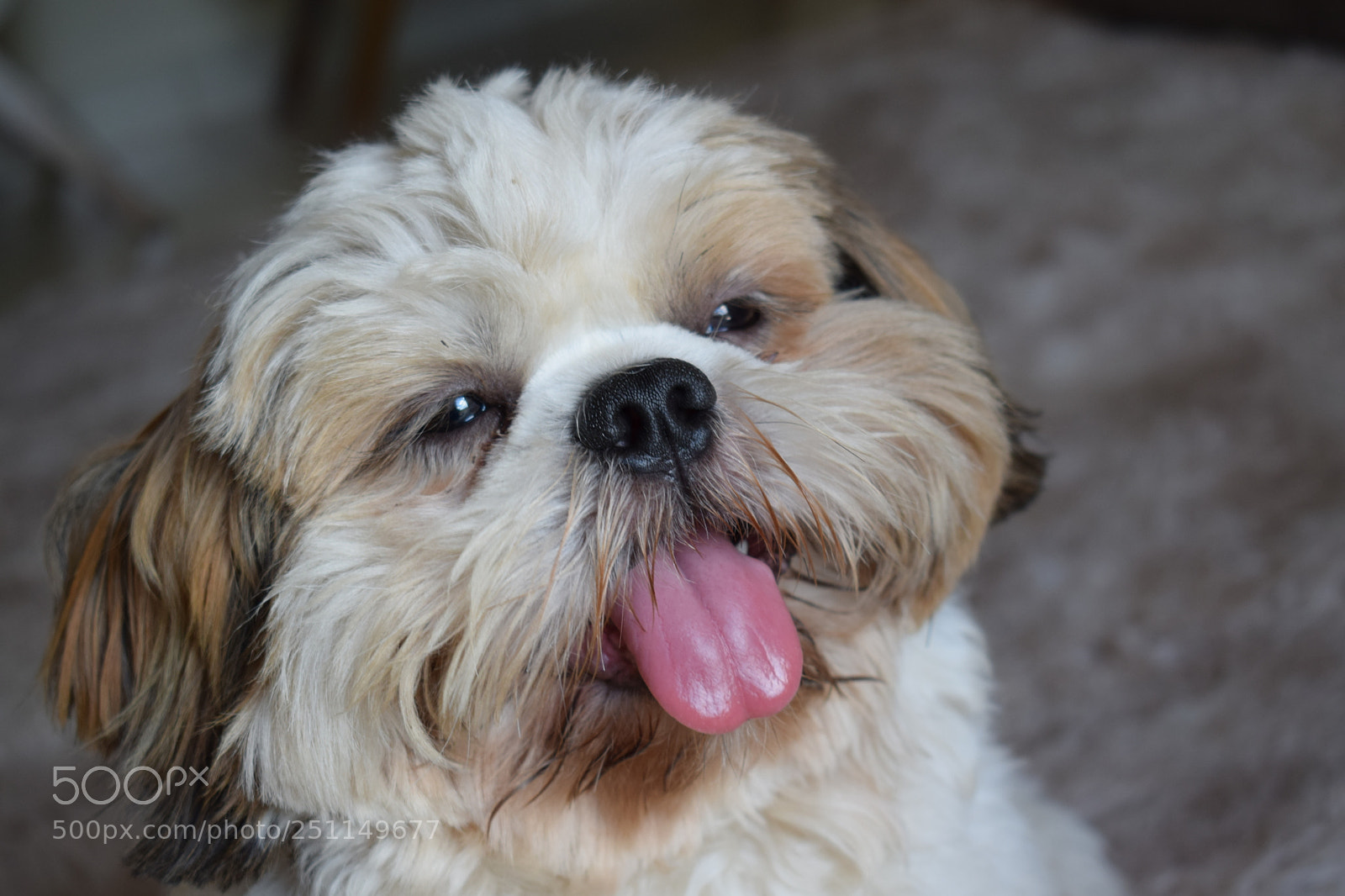 Nikon D3300 sample photo. Untitled photography