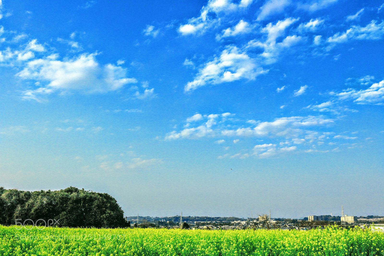 Canon EOS 100D (EOS Rebel SL1 / EOS Kiss X7) sample photo. Ride on time photography