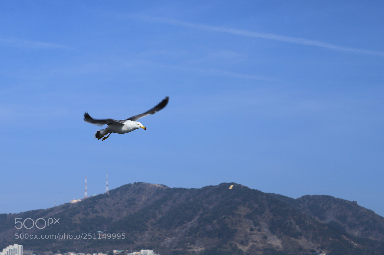 Canon EOS 6D Mark II sample photo. Fly photography