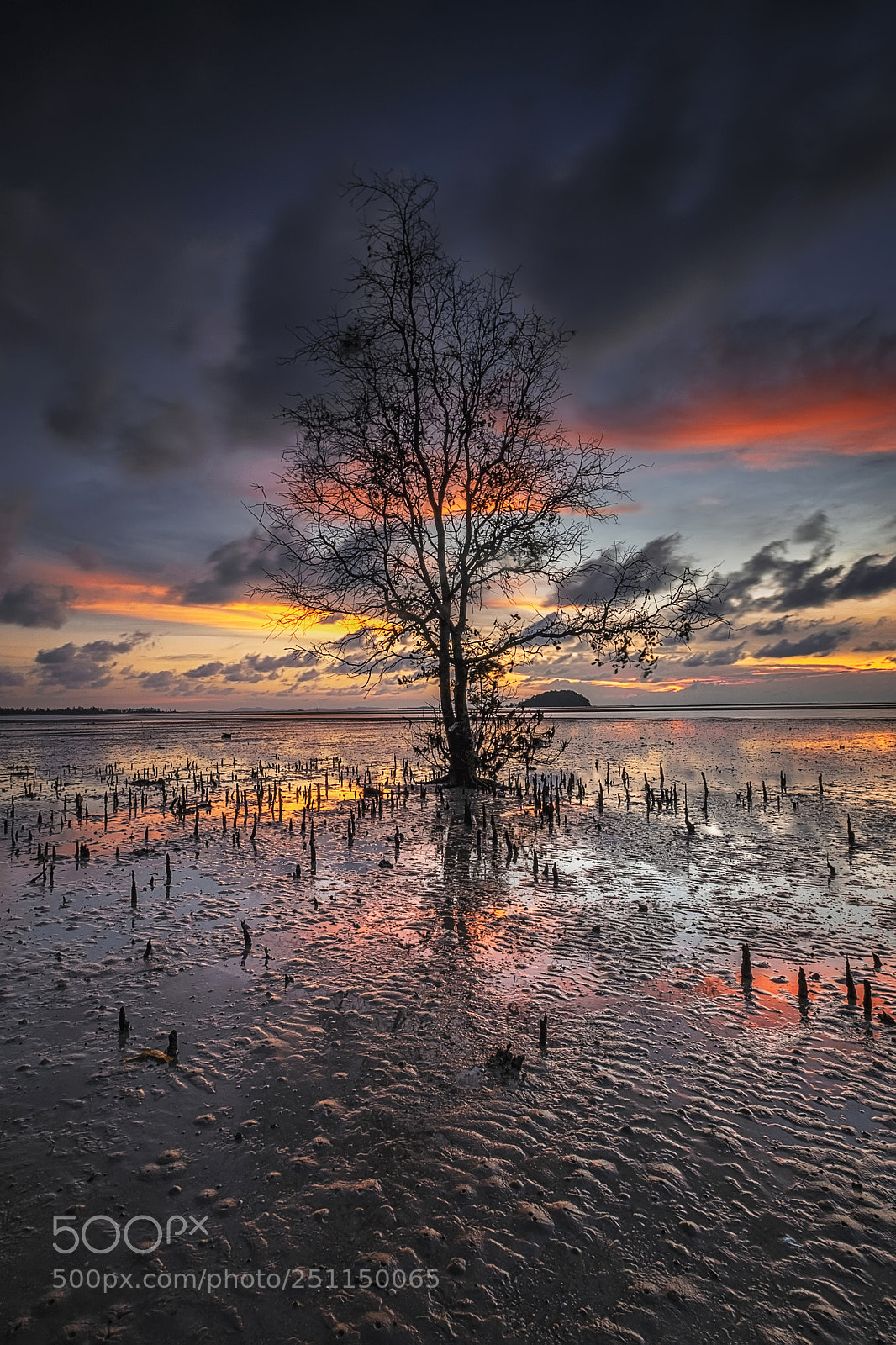 Fujifilm X-T1 sample photo. Tanjung pendam photography