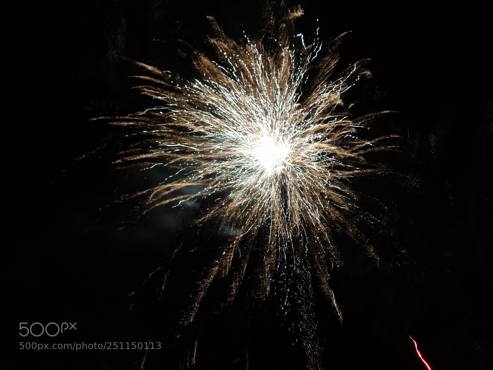 Sony Cyber-shot DSC-H300 sample photo. Firework photography