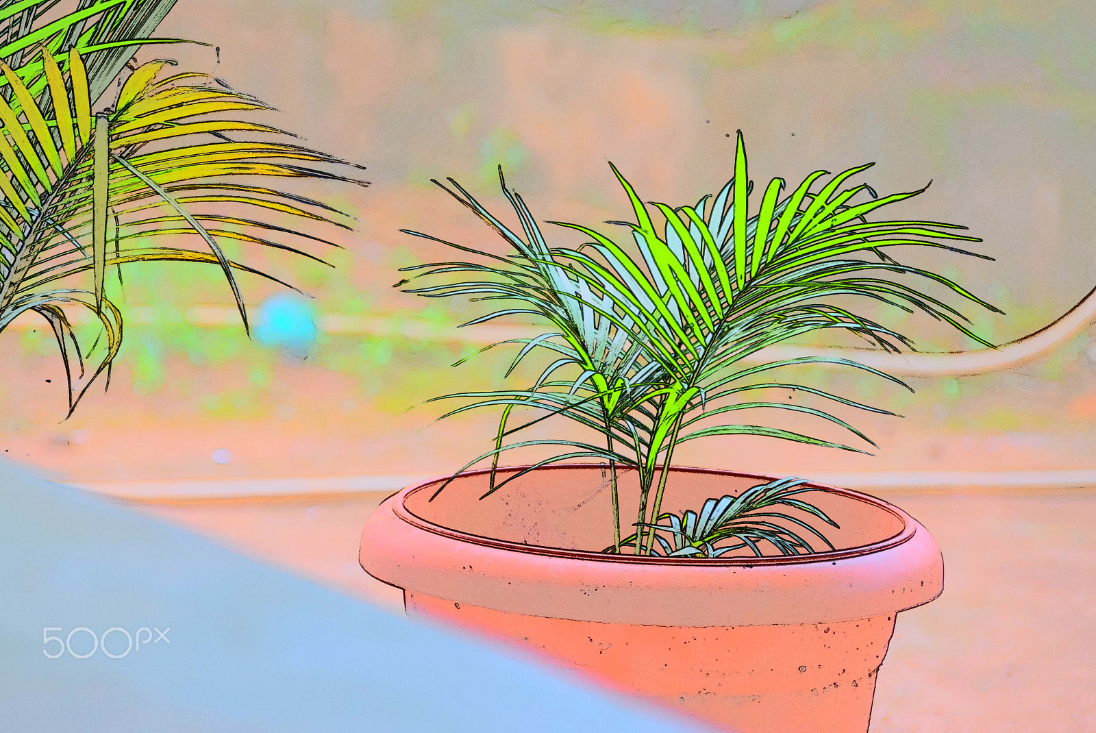 Nikon D5300 sample photo. Potted plant photography