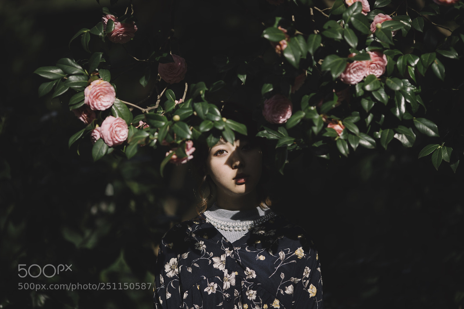 Canon EOS 5D Mark IV sample photo. Untitled photography