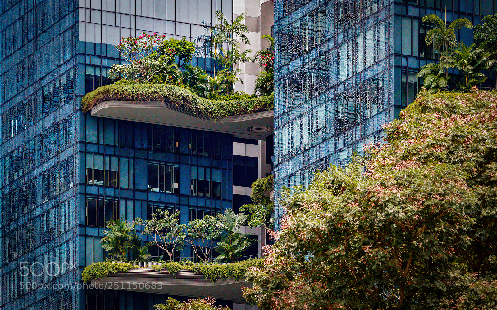 Canon EOS-1D X Mark II sample photo. Gardens in the air photography