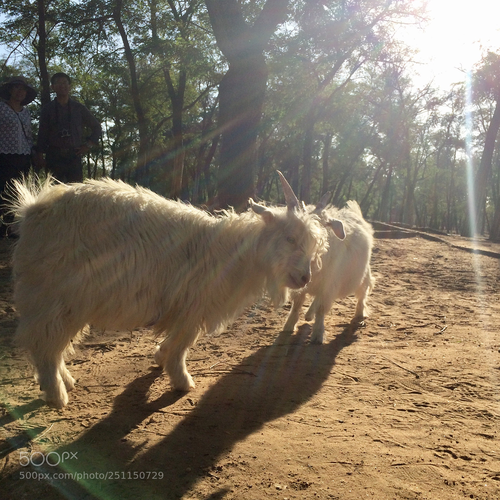 Apple iPhone 5s sample photo. Three years ago! photography