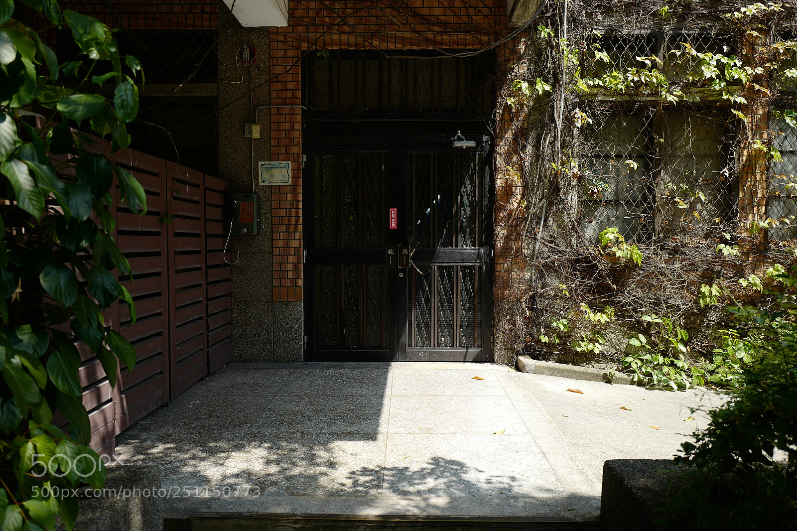 Leica Q (Typ 116) sample photo. 這種藤蔓纏繞的老建築很像母校的理學院，我很喜歡這種建築 photography