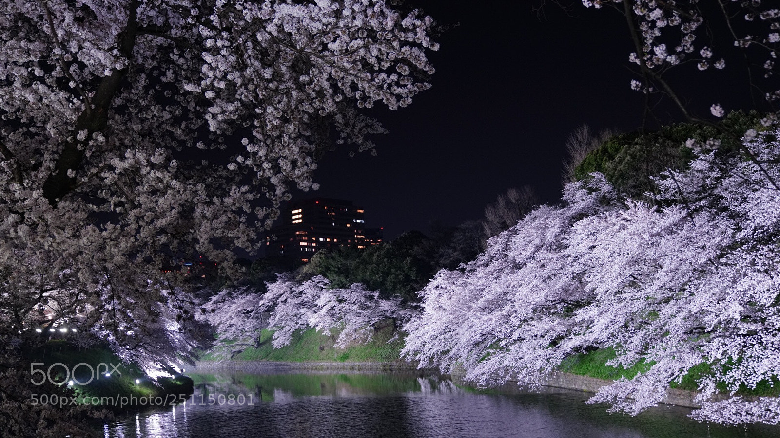 Sony a7R III sample photo. Untitled photography