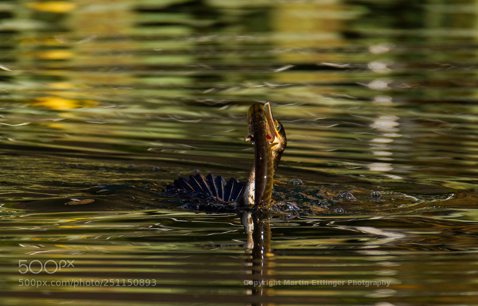 Canon EOS 7D sample photo. Lunch time for a photography