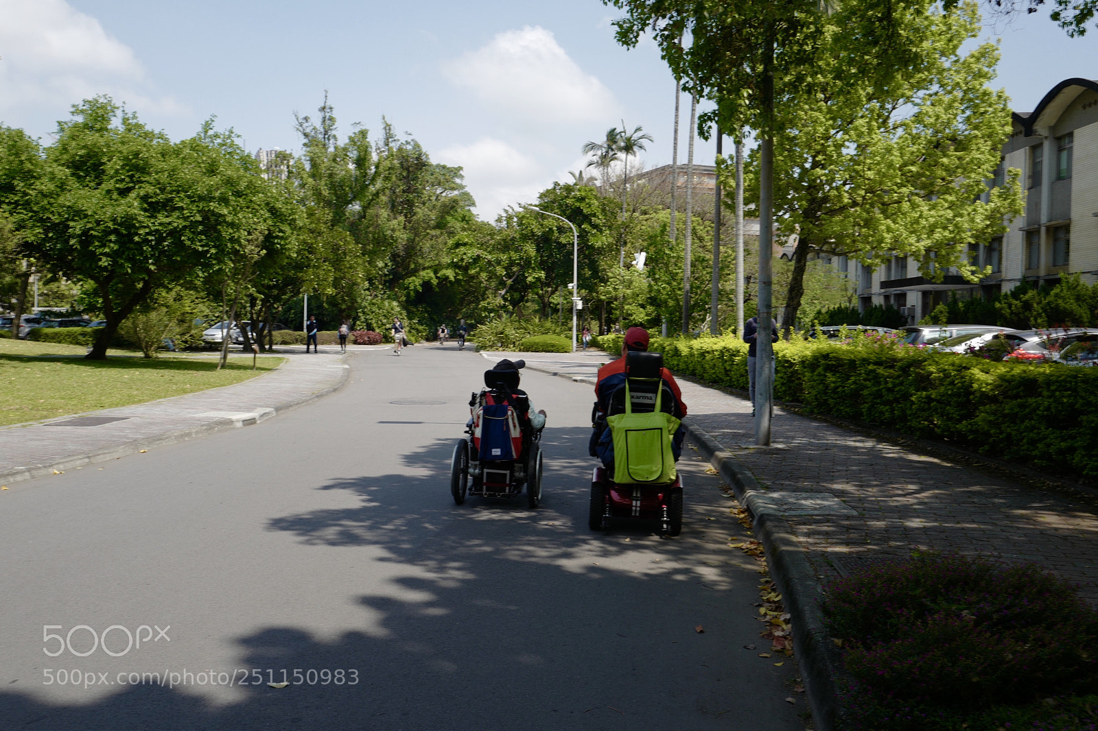 Leica Q (Typ 116) sample photo. 不需要生死相依，一直跟你不離不棄就行。 photography