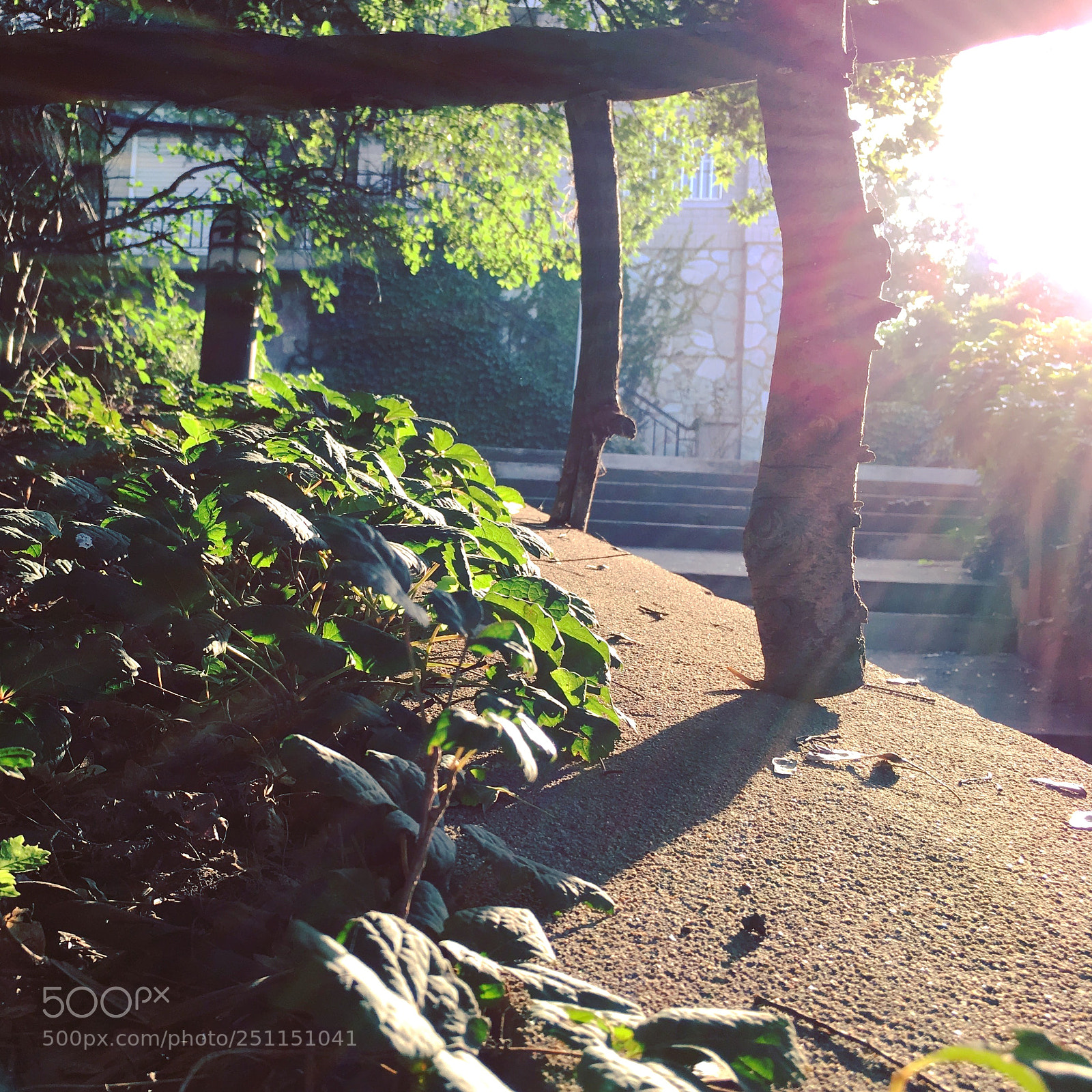 Apple iPhone 6s Plus sample photo. Untitled photography