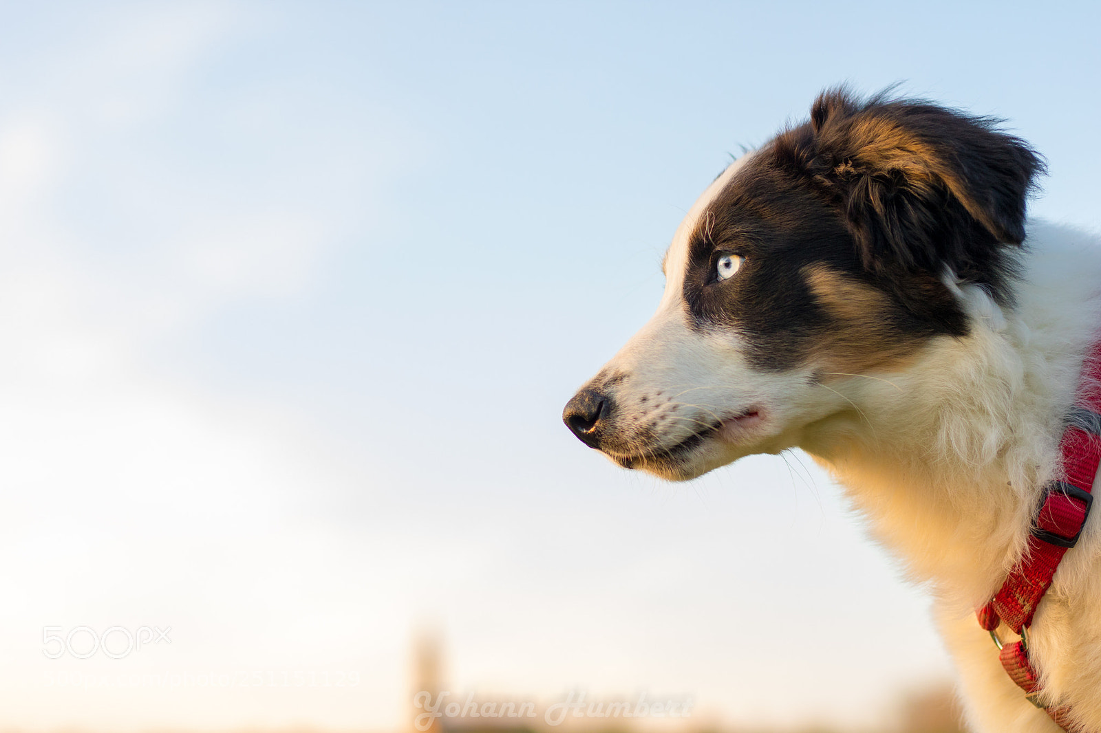 Canon EOS 750D (EOS Rebel T6i / EOS Kiss X8i) sample photo. Nora photography