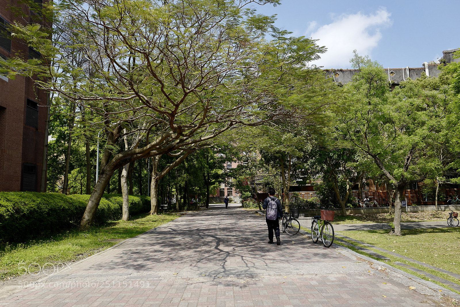 Leica Q (Typ 116) sample photo. 等待著下課，等待著放學，等待初戀的童年 photography