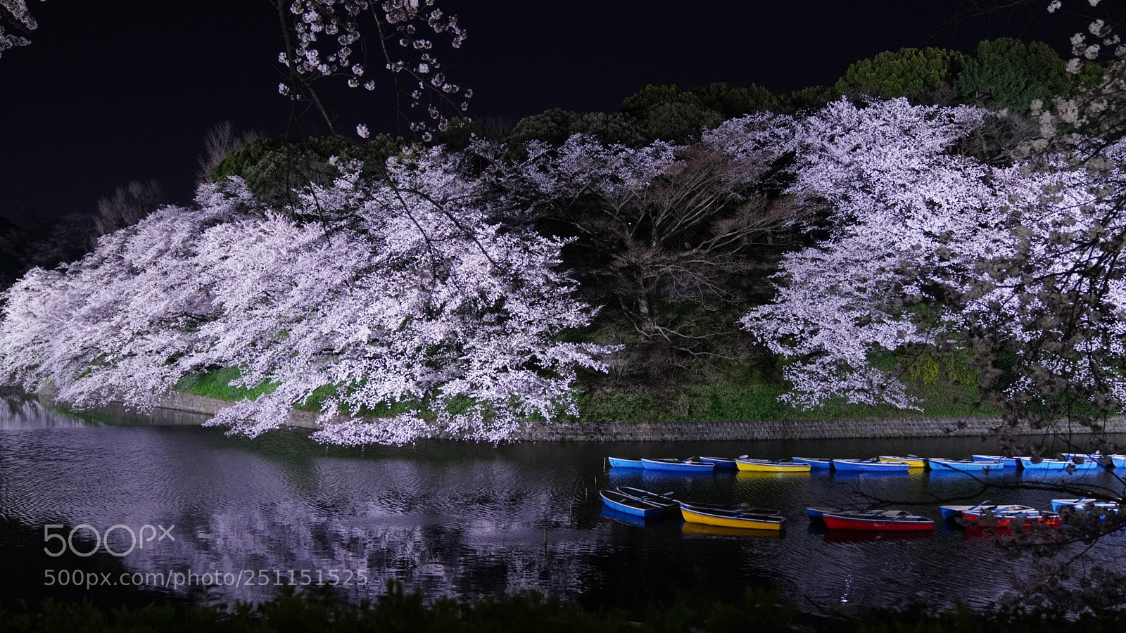 Sony a7R III sample photo. Untitled photography