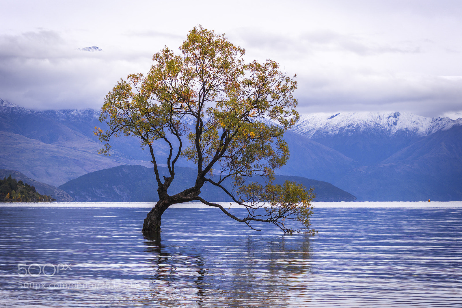 Sony a6000 sample photo. Lake wanaka, autumn photography