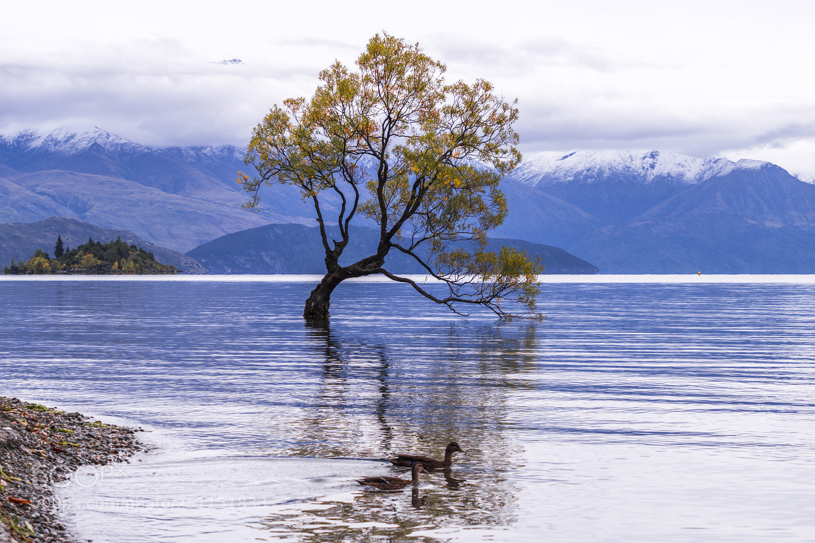 Sony a6000 sample photo. Lake wanaka, autumn photography