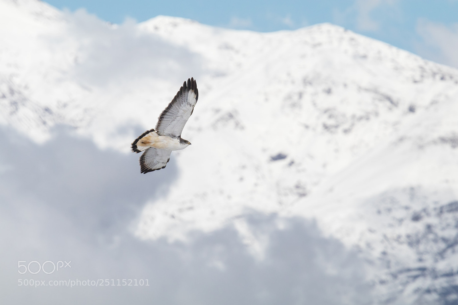 Canon EOS 80D sample photo. Flying in the andes photography
