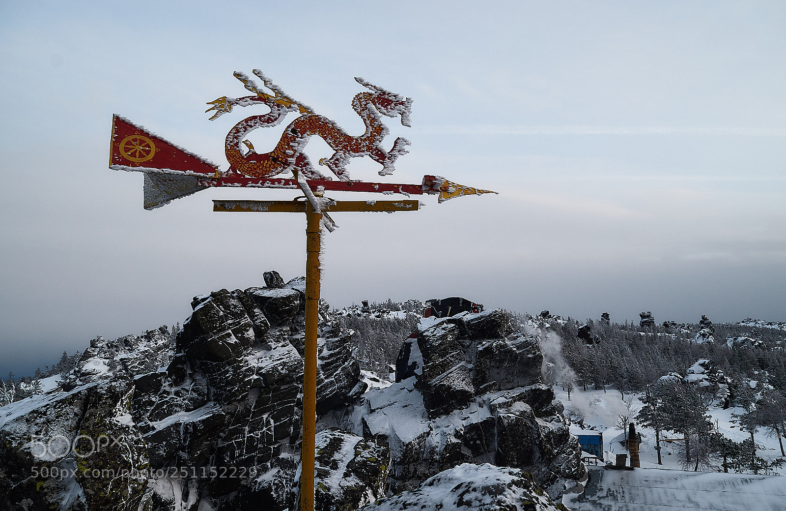 Nikon D7000 sample photo. On the top of photography
