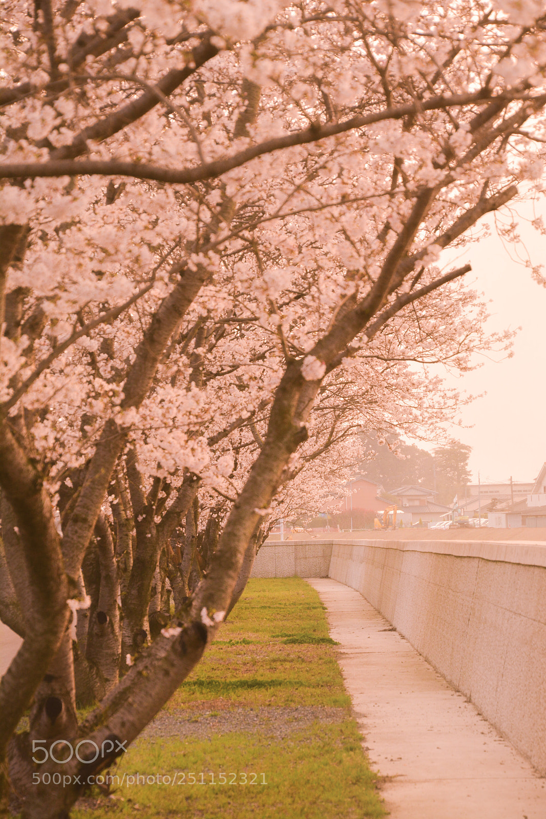 Nikon D7100 sample photo. Concrete riverside s cherry photography