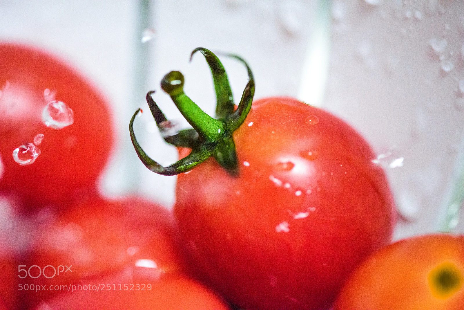 Nikon D810 sample photo. Small tomatoes photography