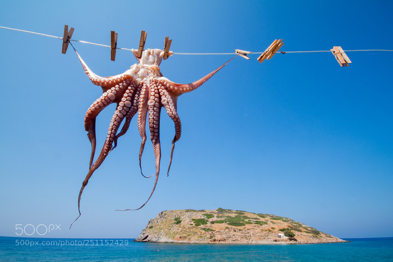 Canon EOS 7D sample photo. Octopus in the blue photography