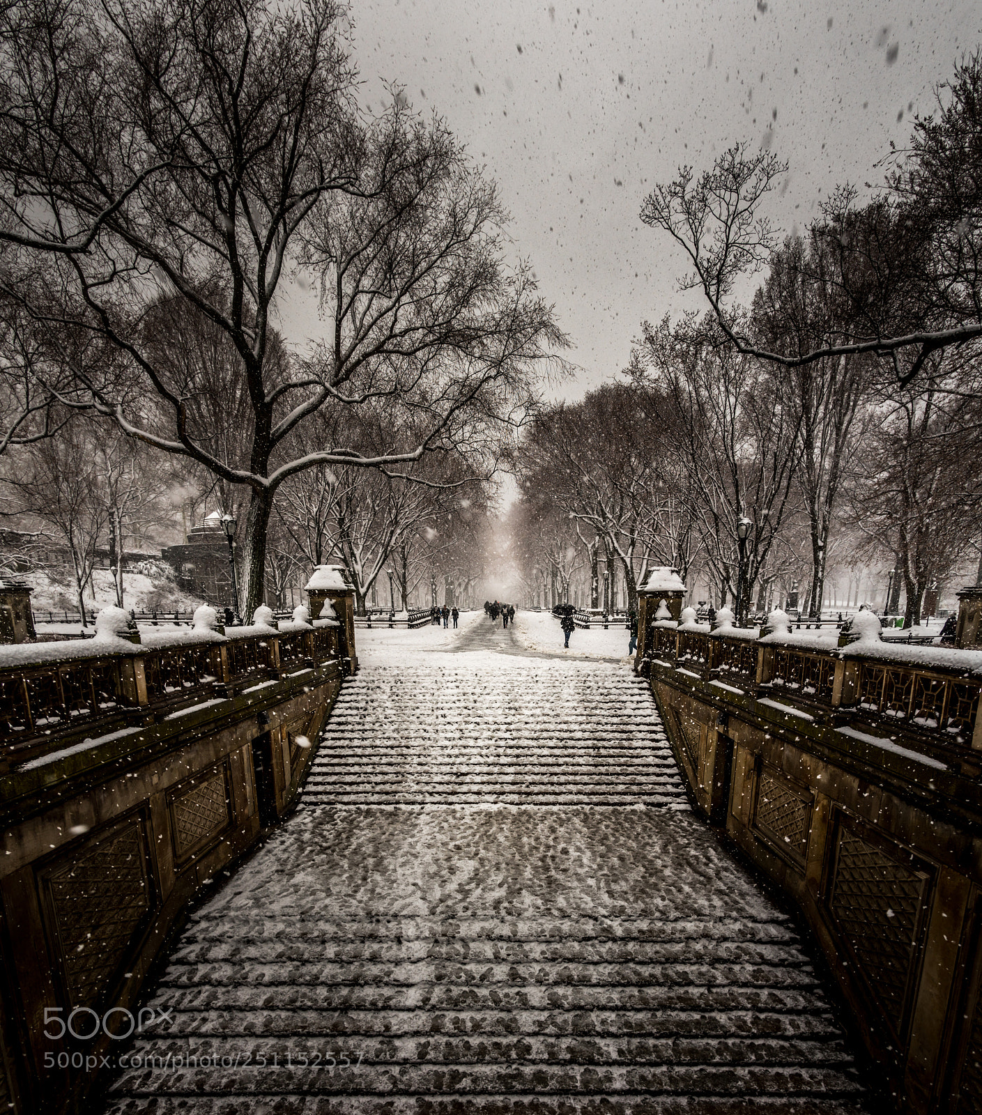 Nikon D750 sample photo. Snow in the park photography