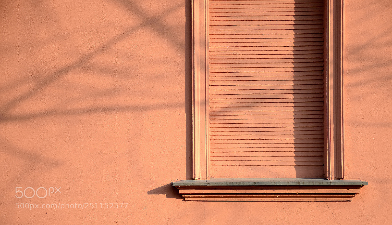 Nikon D7000 sample photo. Texture camouflaged window photography