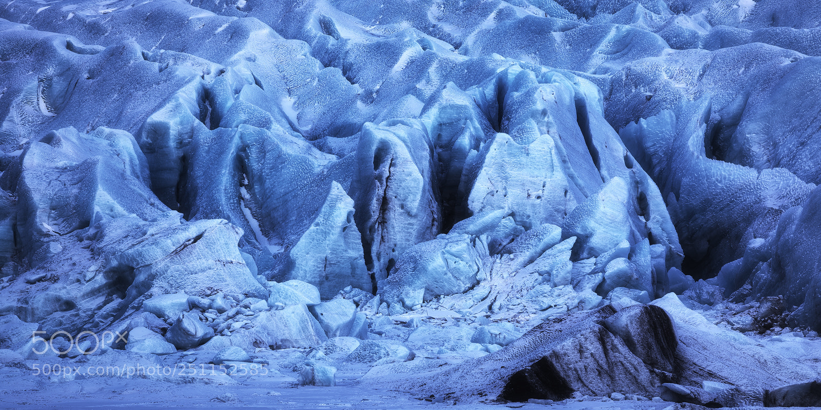 Canon EOS 5D Mark IV sample photo. Frozen artwork photography