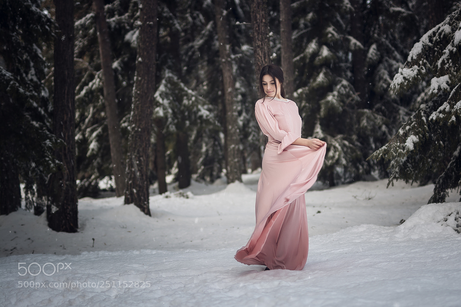 Nikon D7100 sample photo. Queen of the snow photography