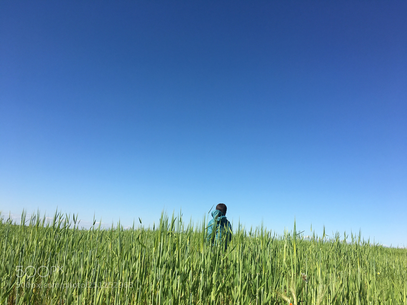 Apple iPhone 6s sample photo. A dreamer photography