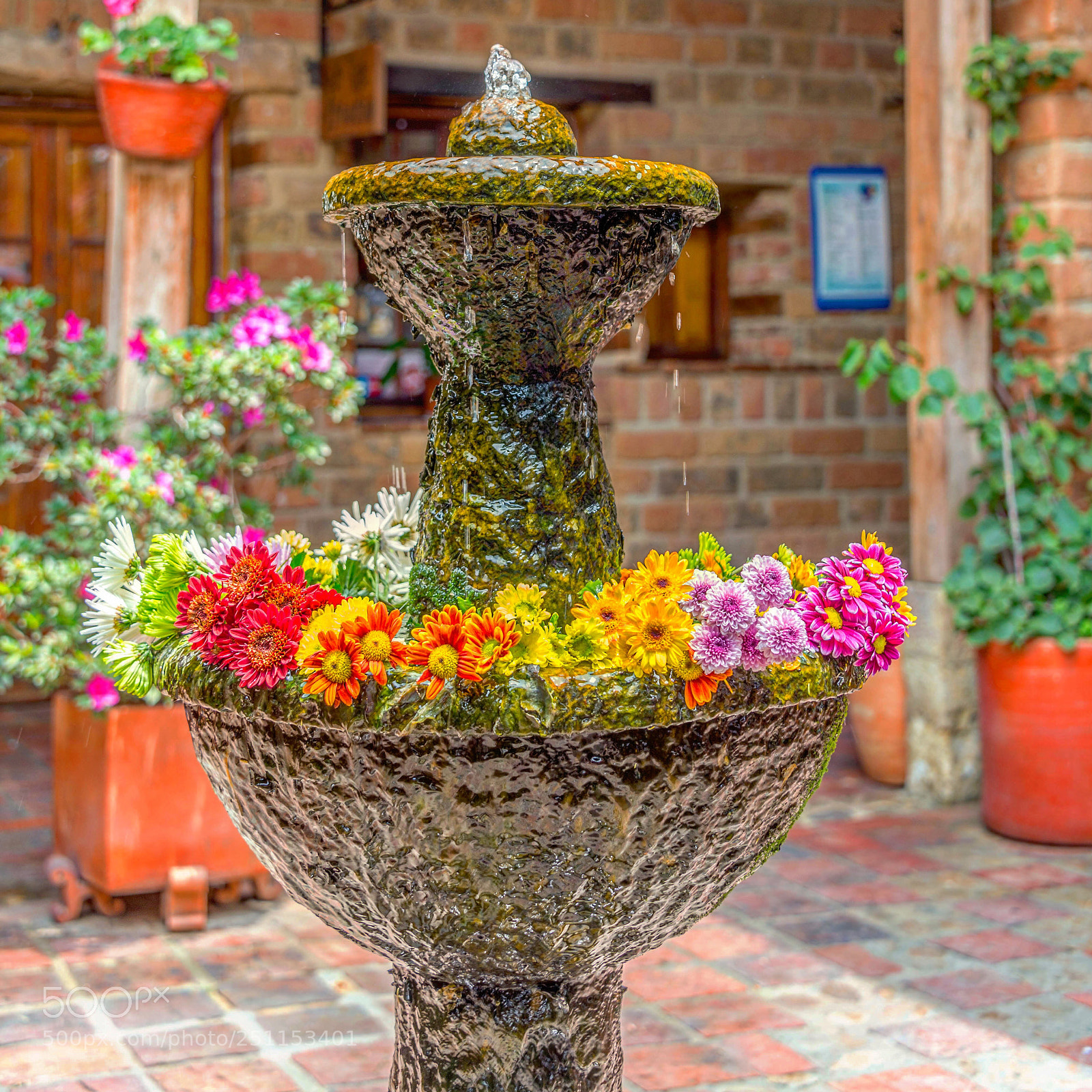 Nikon D610 sample photo. Fountain photography
