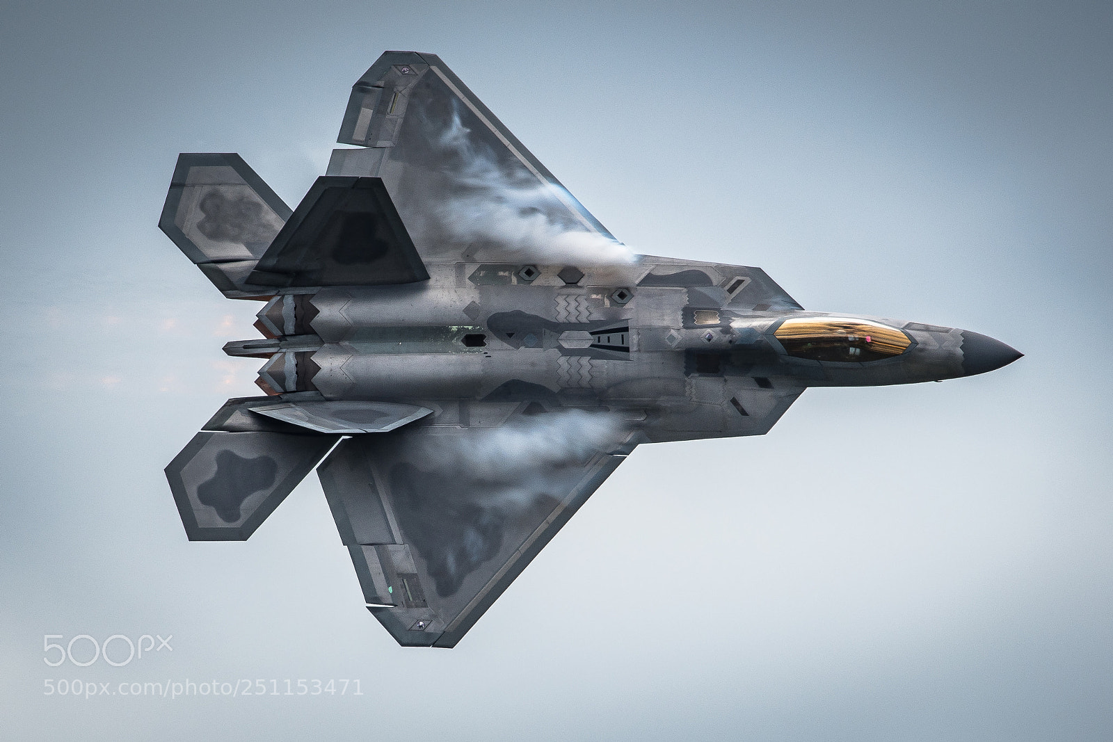 Nikon D500 sample photo. F-22 raptor photography