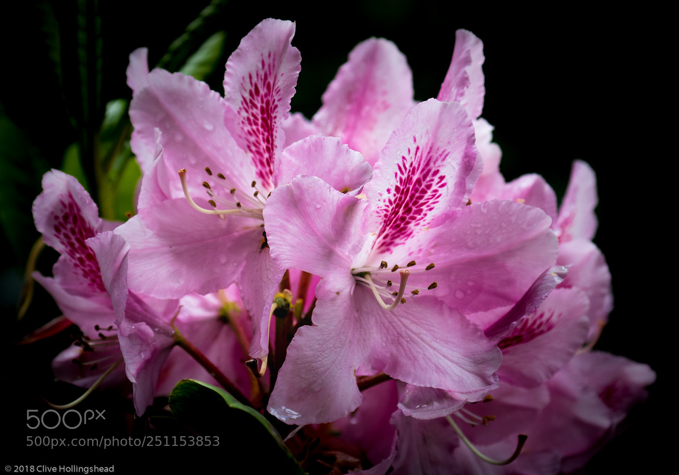 Canon EOS 7D Mark II sample photo. Spring is coming photography