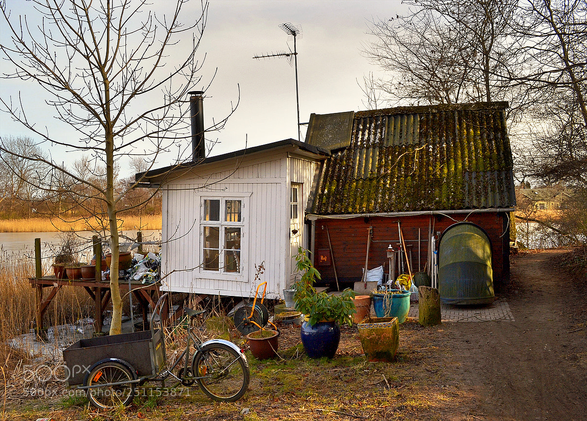 Nikon D3100 sample photo. Home is where the photography