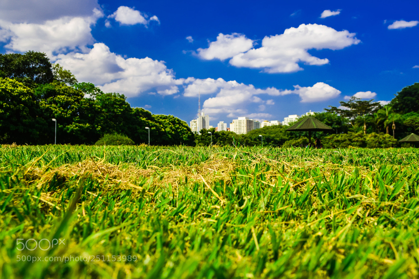 Nikon D5300 sample photo. Vila lobos (de ) photography