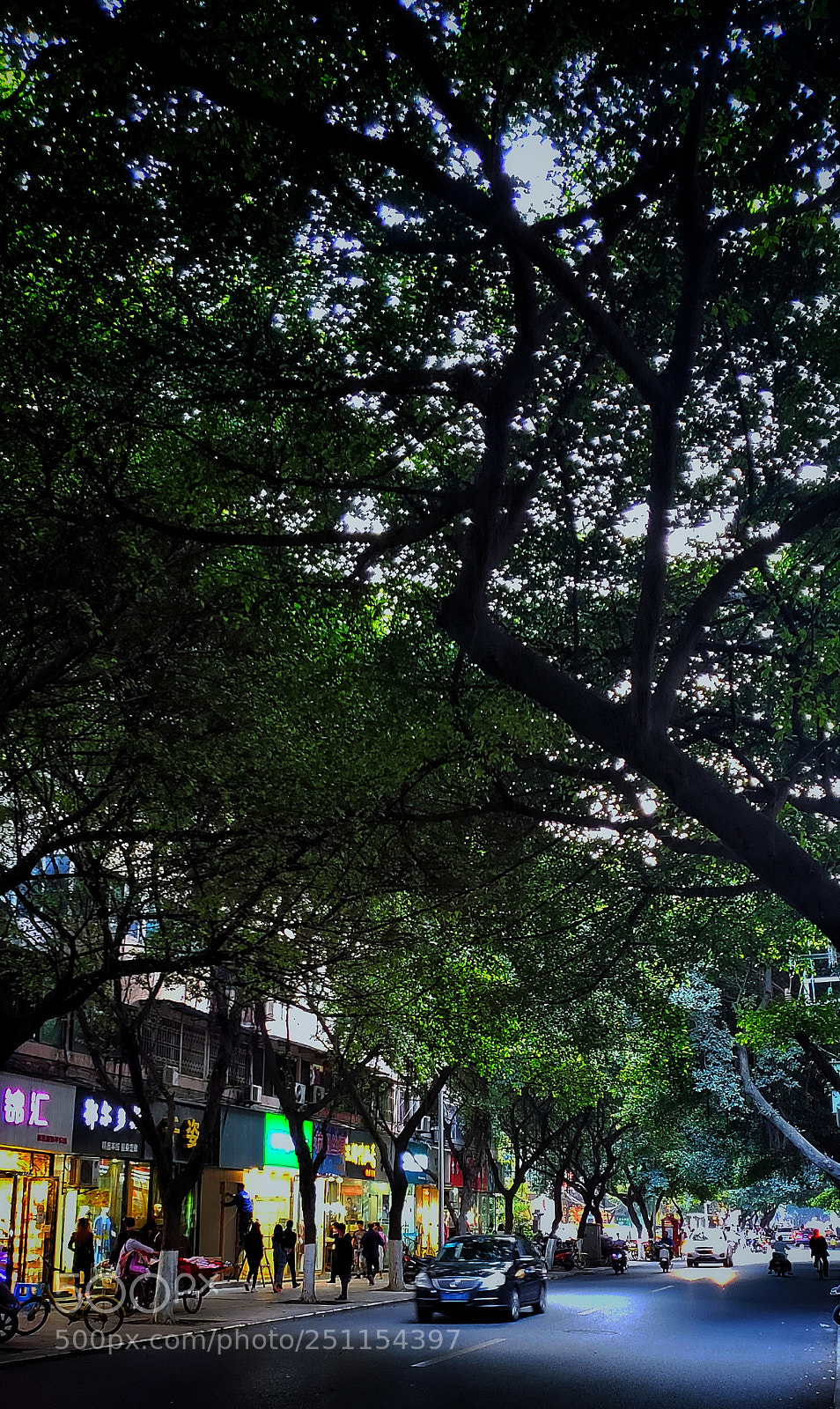 Samsung Galaxy S9+ sample photo. Untitled photography