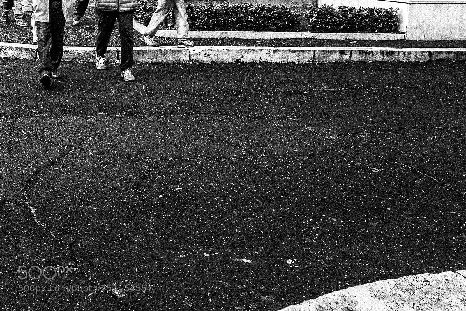 Panasonic Lumix DMC-GX85 (Lumix DMC-GX80 / Lumix DMC-GX7 Mark II) sample photo. Walkin' the walk photography